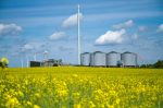 Biogas production in Denmark