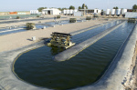 Algae biofuels research facility at Texas A&M