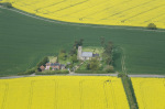 rapeseed field in Suffolk (photo John Fielding)