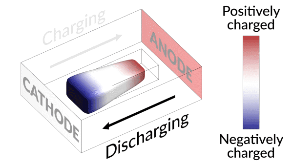 An animation shows how charging and discharging a lithium battery test cell causes an island of “dead,” or detached, lithium metal to creep back and forth between the electrodes. 