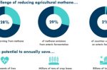 Danone to cut its methane emissions 30% by 2030: 58,000 dairy farms across 20 countries