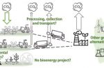 When can Bioenergy be truly green? 5 key questions for every project
